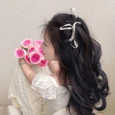 暴风少年之三大家族